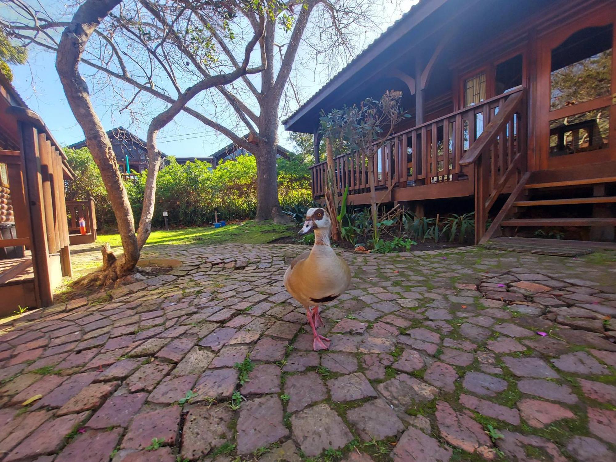 Knysna River Club By First Private Stays Εξωτερικό φωτογραφία